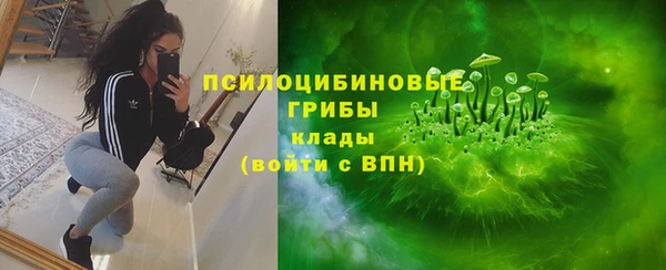 спиды Мегион
