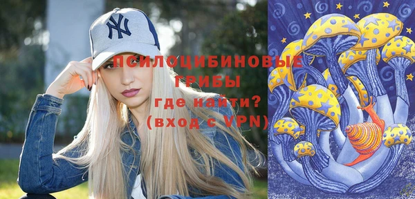 spice Беломорск