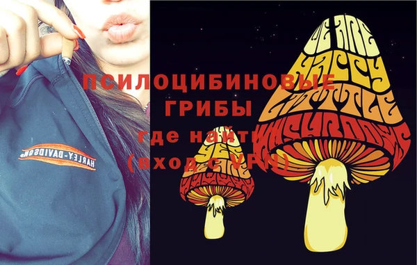 spice Беломорск
