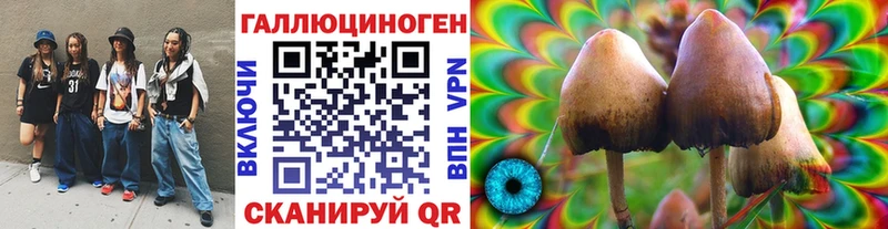 Псилоцибиновые грибы Psilocybine cubensis купить Далматово