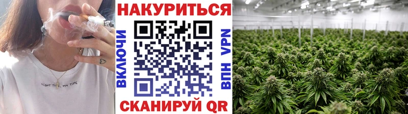 Бошки марихуана OG Kush  сайты даркнета клад  Далматово 